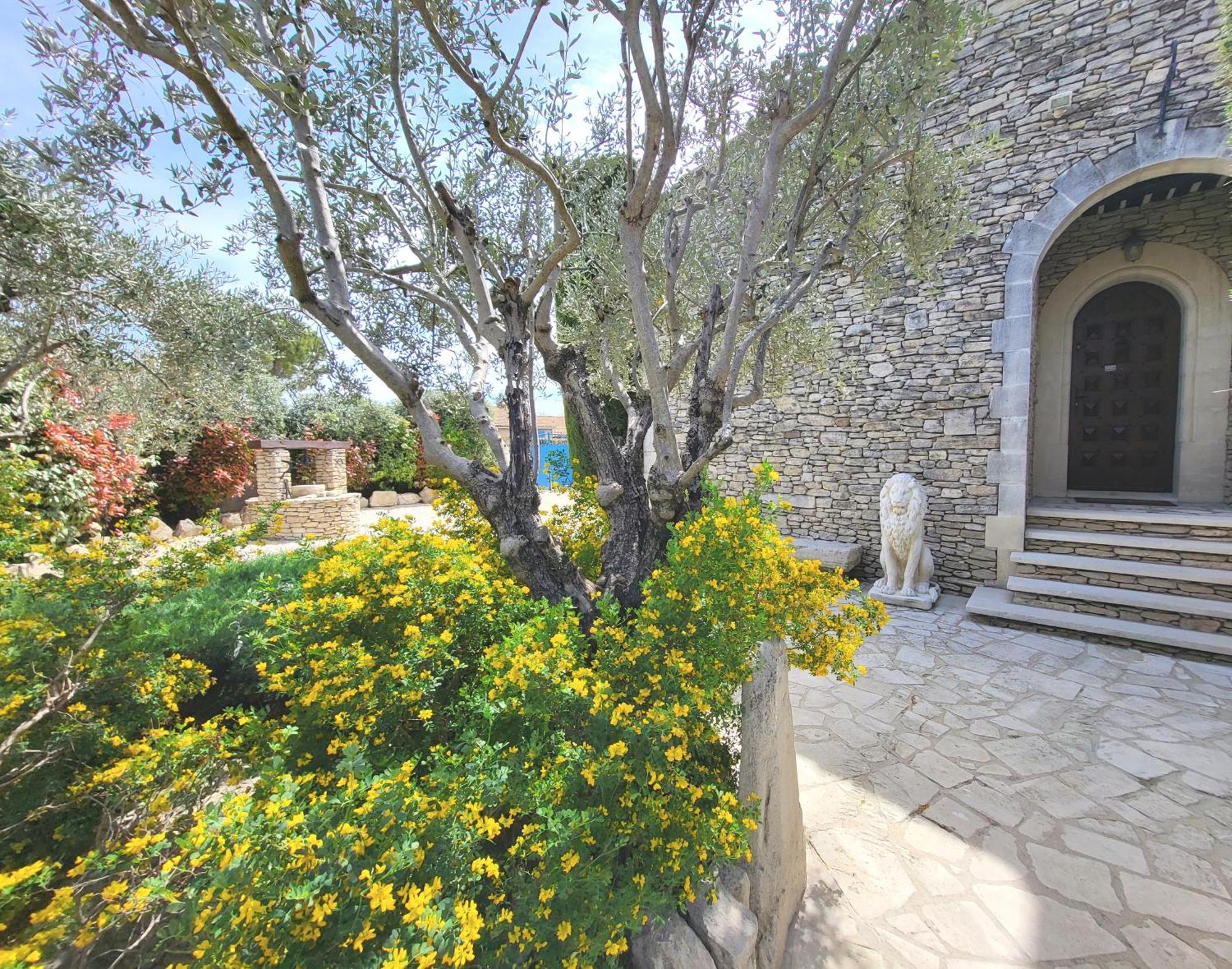 "La Massette Du Cheval Blanc" Villa De Caractere En Pierre LʼIsle-sur-la-Sorgue Dış mekan fotoğraf